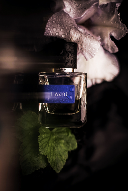 Mark Buxton Perfumes I Want