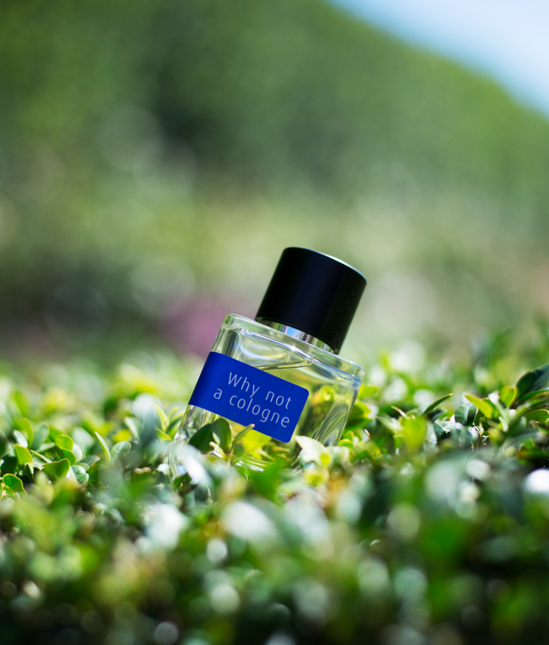 Mark Buxton Perfumes Why Not A Cologne